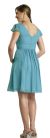 Modest Half Sleeves Pleated Short Party Dress back