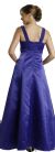 Shirred Overlay Bodice Formal Dress back