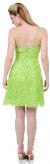 Short Sequin Spaghetti Strapped Party Dress back
