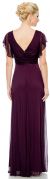 V-Neck Ruffle Sleeves Long Formal Dress with Pleating back