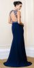 Bejeweled Bust Keyhole Back Long Formal Prom Dress back