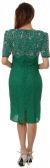 V-Neck Tea Length Formal Beaded Dress with Half Sleeves back