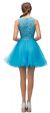 Embroidered Lace Top Baby Doll Short Homecoming Party Dress back
