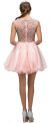 Bejeweled Mesh Bodice Cap Sleeves Short Baby Doll Dress back
