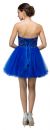 Strapless Beaded Lace Mesh Short Homecoming Party Dress back