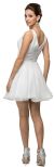 V-Neck Ruched Bodice Short Homecoming Bridesmaid Dress back