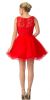 Beaded Lace Bust Mesh Babydoll Skirt Short Dress back