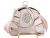 Main image of Hold and Shine Evening Bag In Champaign