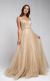 V Neck Vines Pattern Tulle Prom Gown in Champaign