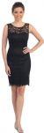 Sheer Neck Artistic Pattern Lace Short Formal Party Dress in Black