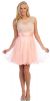 Main image of Floral Pattern Bodice Short Tulle Party Prom Dress