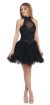 Main image of Halter Neck Lace Bodice Mesh Short Homecoming Party Dress