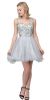 Main image of Floral Embroidery Mesh Top Short Tulle Homecoming Dress